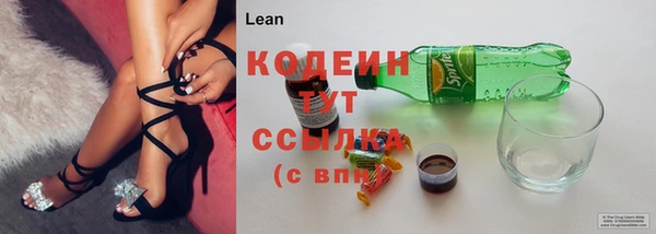 МДПВ Дедовск