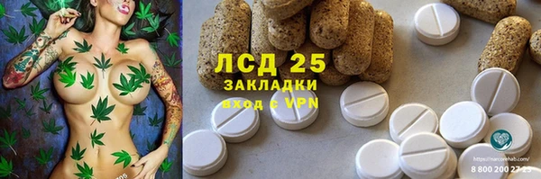 ГАЛЛЮЦИНОГЕННЫЕ ГРИБЫ Пролетарск