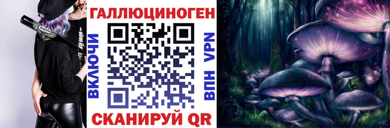 Псилоцибиновые грибы Cubensis  магазин    Чкаловск 